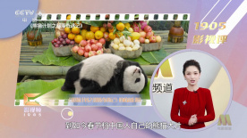 999热在线精品观看全部